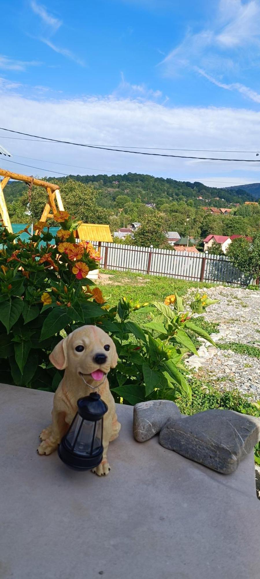 Casuta Din Livada Villa Secaria Dış mekan fotoğraf